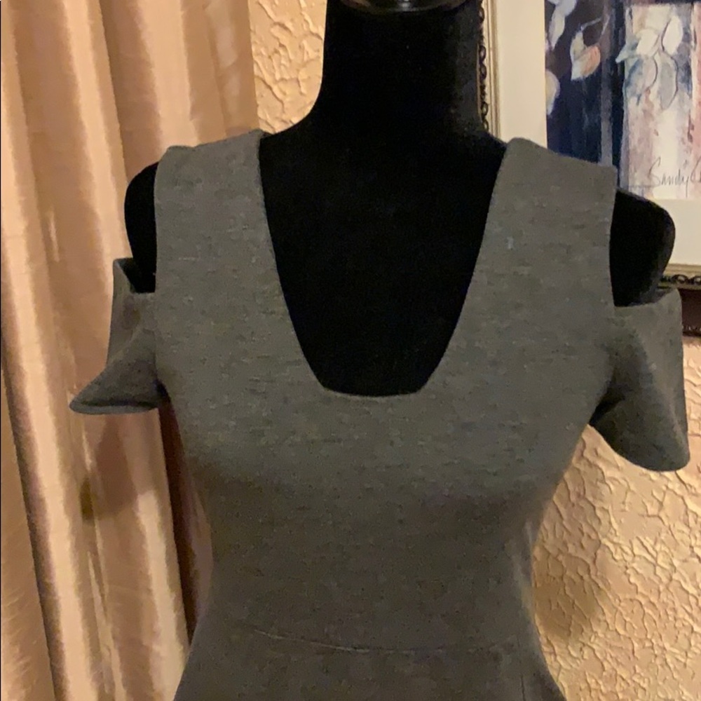 Express Dress - Picture 3 of 7